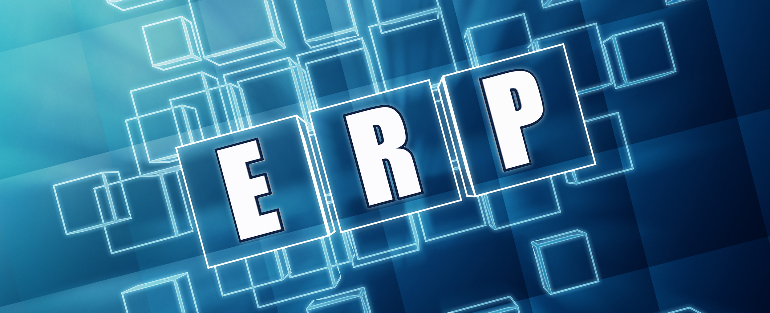 How to evaluate ERP Software